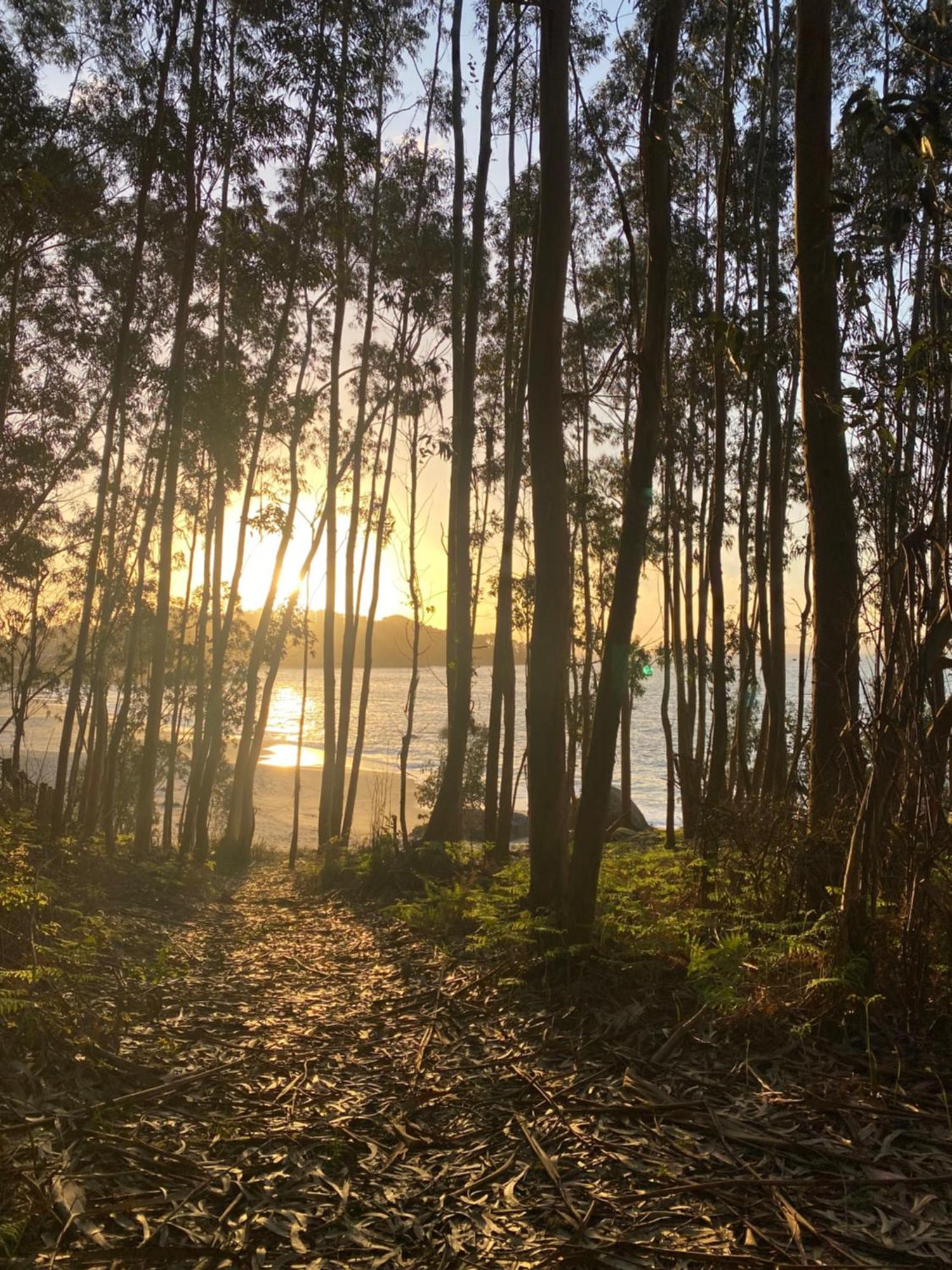 Rincon De Lagos, Bueu Pontevedra Exteriör bild
